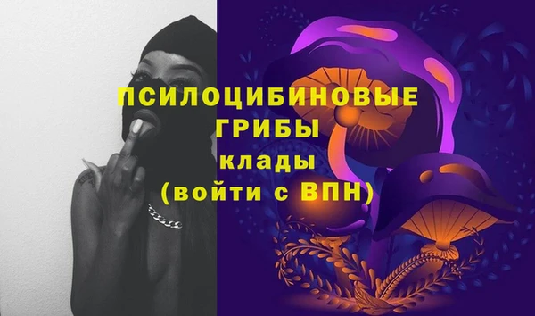 твердый Белокуриха