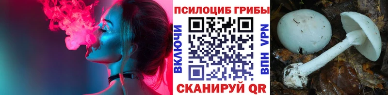 Галлюциногенные грибы Magic Shrooms  Кстово 