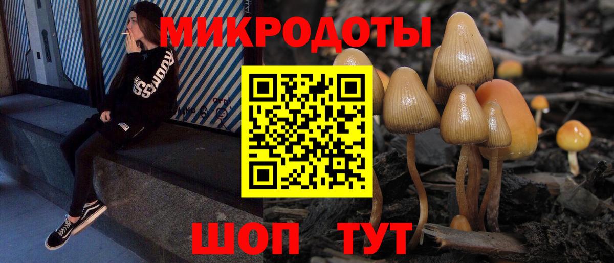 Псилоцибиновые грибы прущие грибы Кстово