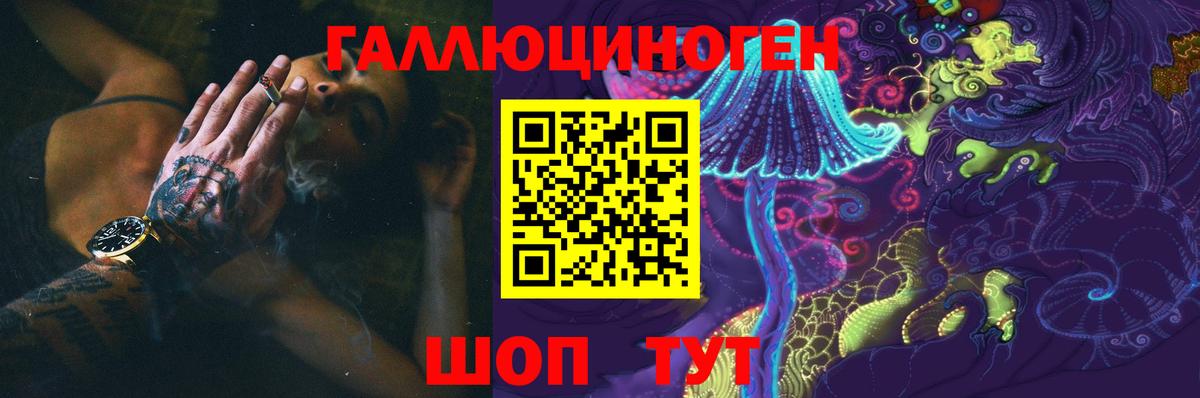 сколько стоит  Галлюциногенные грибы GOLDEN TEACHER  Вход с VPN  Кстово 